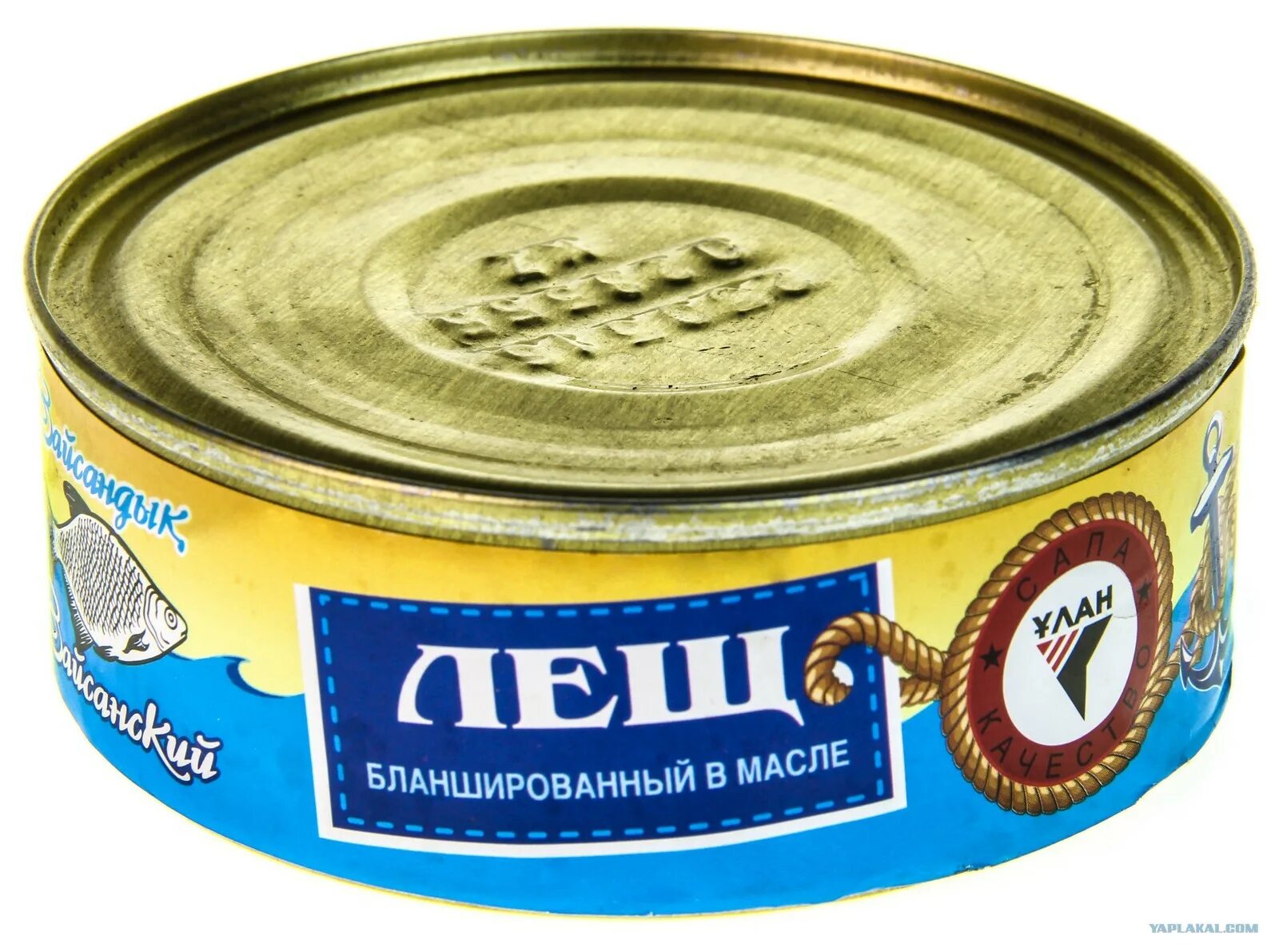 Вкусная рыбная консерва. Рыбные консервы. Рыбные консервы в масле. Рыба в консервах. Рыба бланшированная в масле консервы.