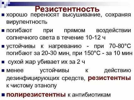 Потеря в массе при высушивании