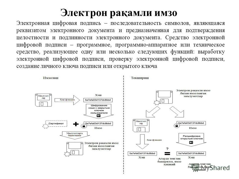 Электронный документ функции. Электронный документ функции