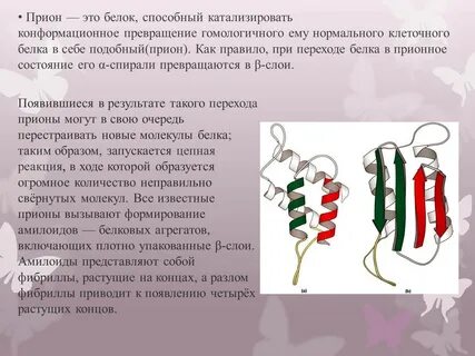 Прионы