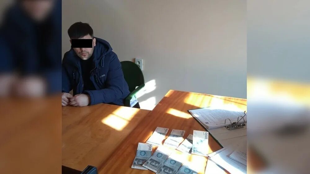 Таджики получают российское гражданство. Экзамен по русскому для мигрантов. Население таджикистана 2023 года. Трудоустройство граждан таджикистана 2024. Амнистия для мигрантов.