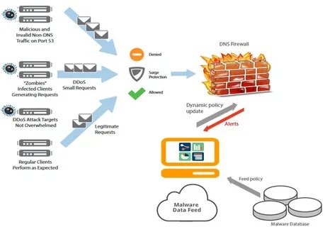 Dns port