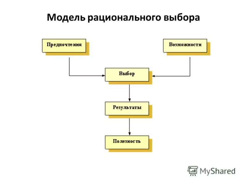Теория рационального выбора. Рациональный выбор в политике. Теория рационального выбора примеры. Модель рационального выбора. Модель рационального выбора.