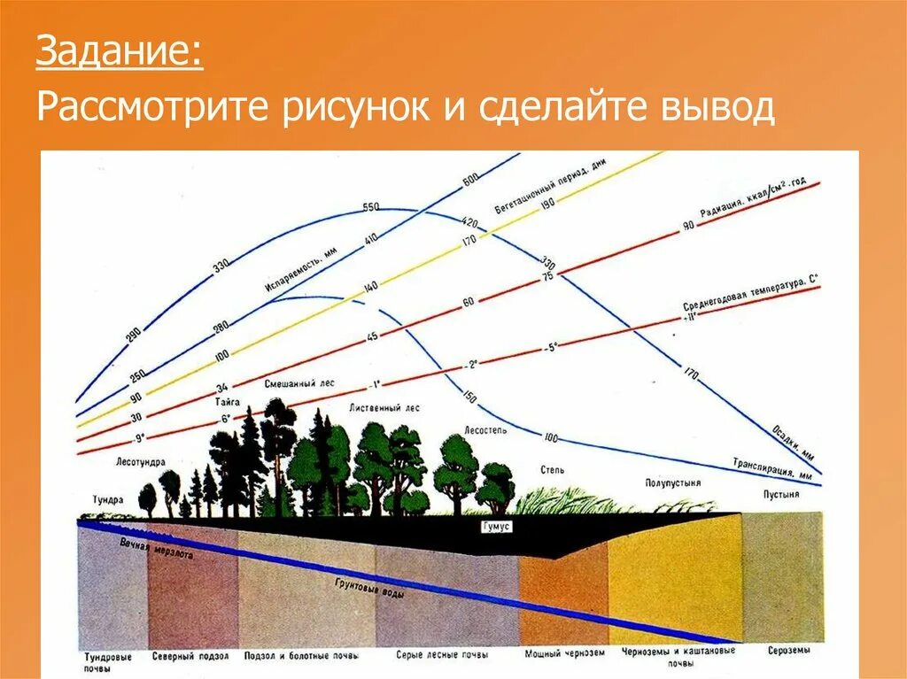 Взаимосвязь почв растительности и климата. Типы почв с климатом и растительностью. Взаимосвязь типов почв с климатом и растительностью. Изменение почв с севера на Юг. Порядок почв с севера на юг