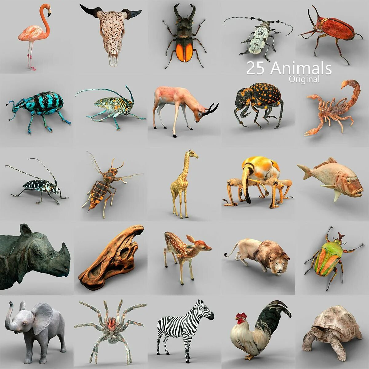 Animals оригинал. Модели животных. Животные 3d модели. 3д модели животных для игры. Стилизованные животные 3д.