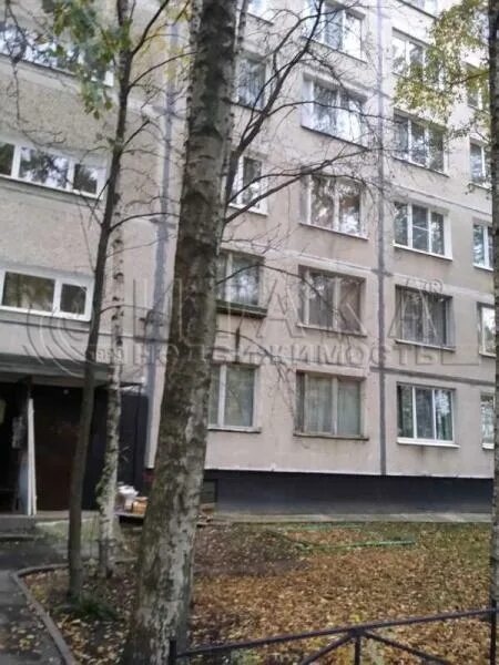 Граноро лесная ул. Граноро лесная ул. Граноро лесная ул. Граноро лесная ул. Лесная 16 микрогород в лесу.