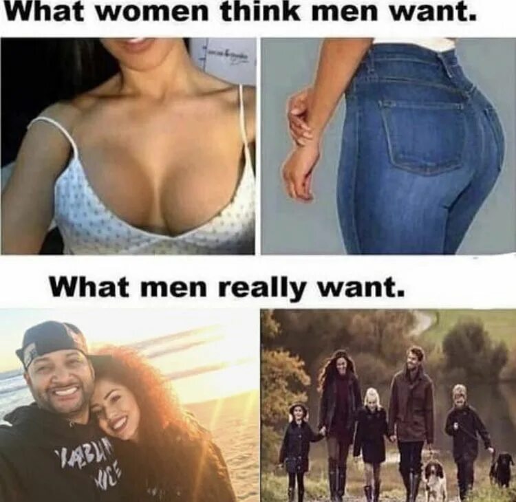 What men really want. What women think men want. What женщина Мем. What women think men want what men really want meme.