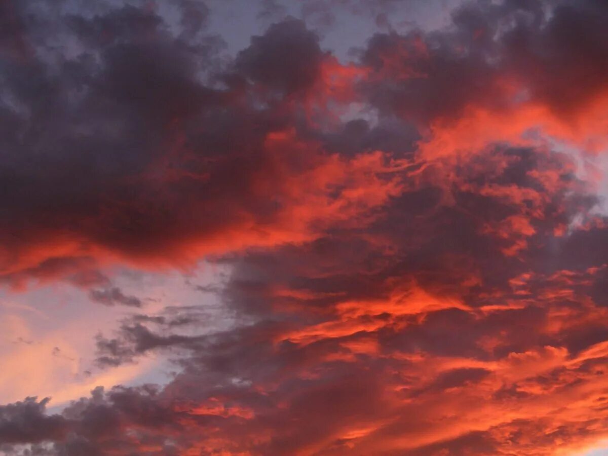 Xavlegbmaofffassssitimiwoamndutroabcwapwaeiippohfffx. Dismember группа. Under red skies. Under red skies. Dylan bob "under the red sky".