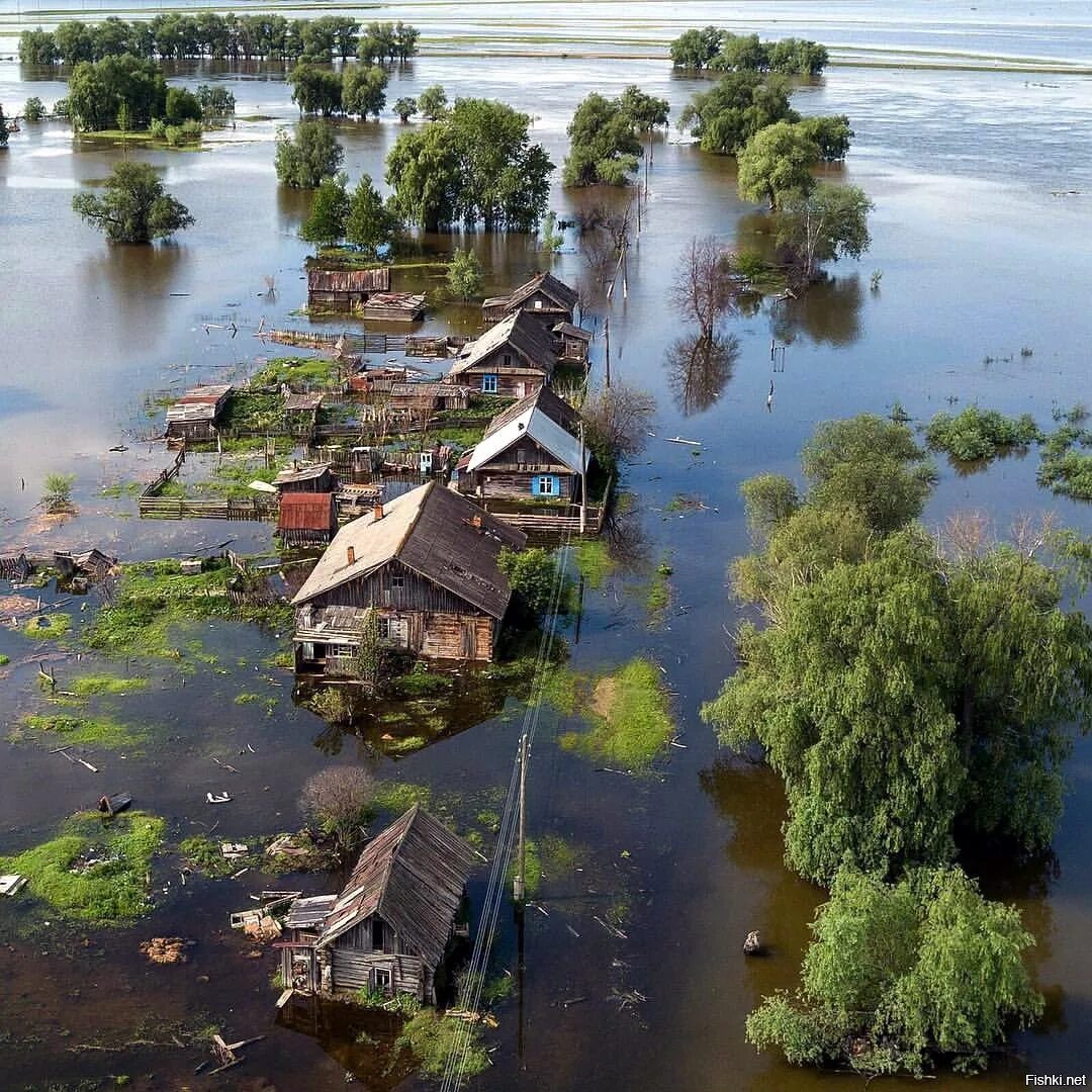 Какие села затопило