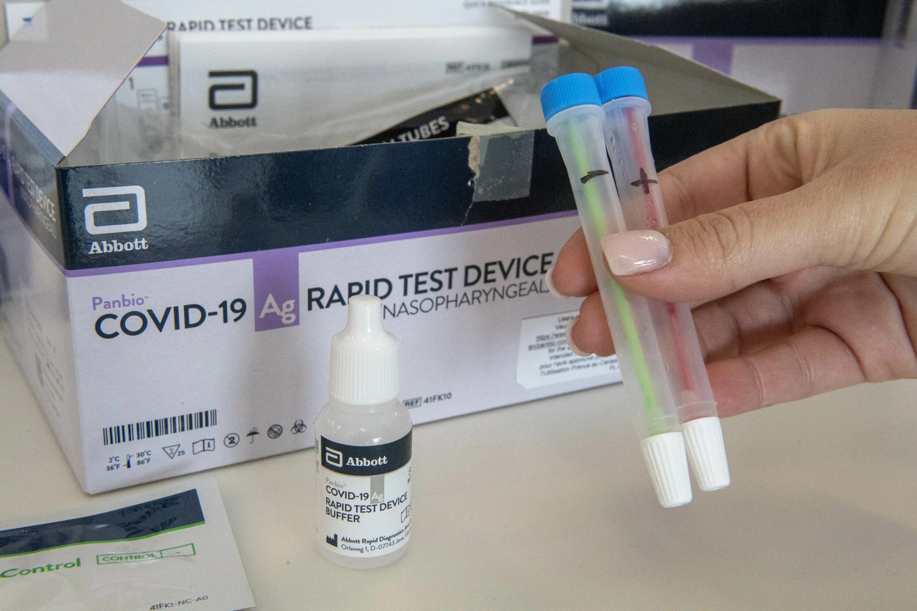 Rapid testing. Rapid testing