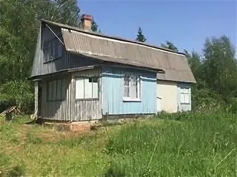 Авито ельня смоленская