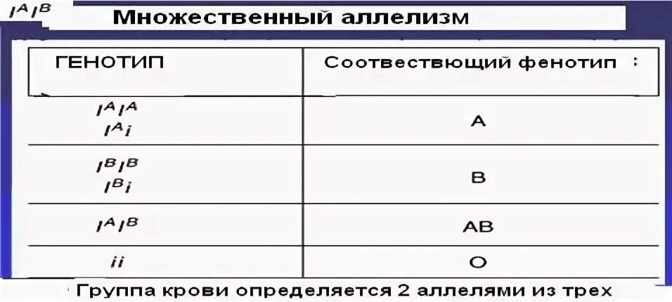 Соотношение генотипов 1 2 1