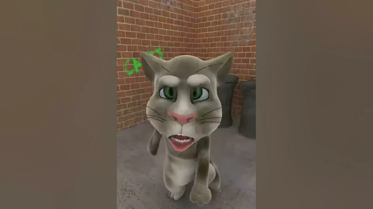 Talking tom 2010. Talking Tom Cat 2010. Talking Tom Cat 1.0 2010. Игра talking Tom Cat (2010) андроид.