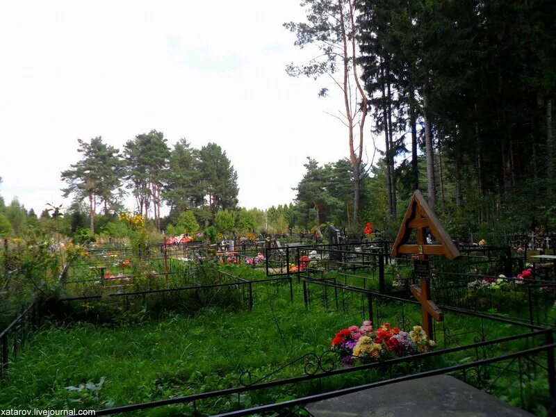 Кладбище ермолино великий. Кладбище ермолино великий. Петровское кладбище великий новгород. Кладбище ермолино великий. Петровское кладбище великий новгород.