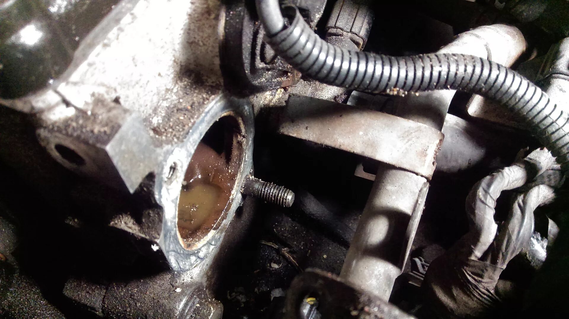 Замена термостата рио 2. Замена термостата рио 2. 4. Замена термостата рио 2. Замена термостата рио 2.