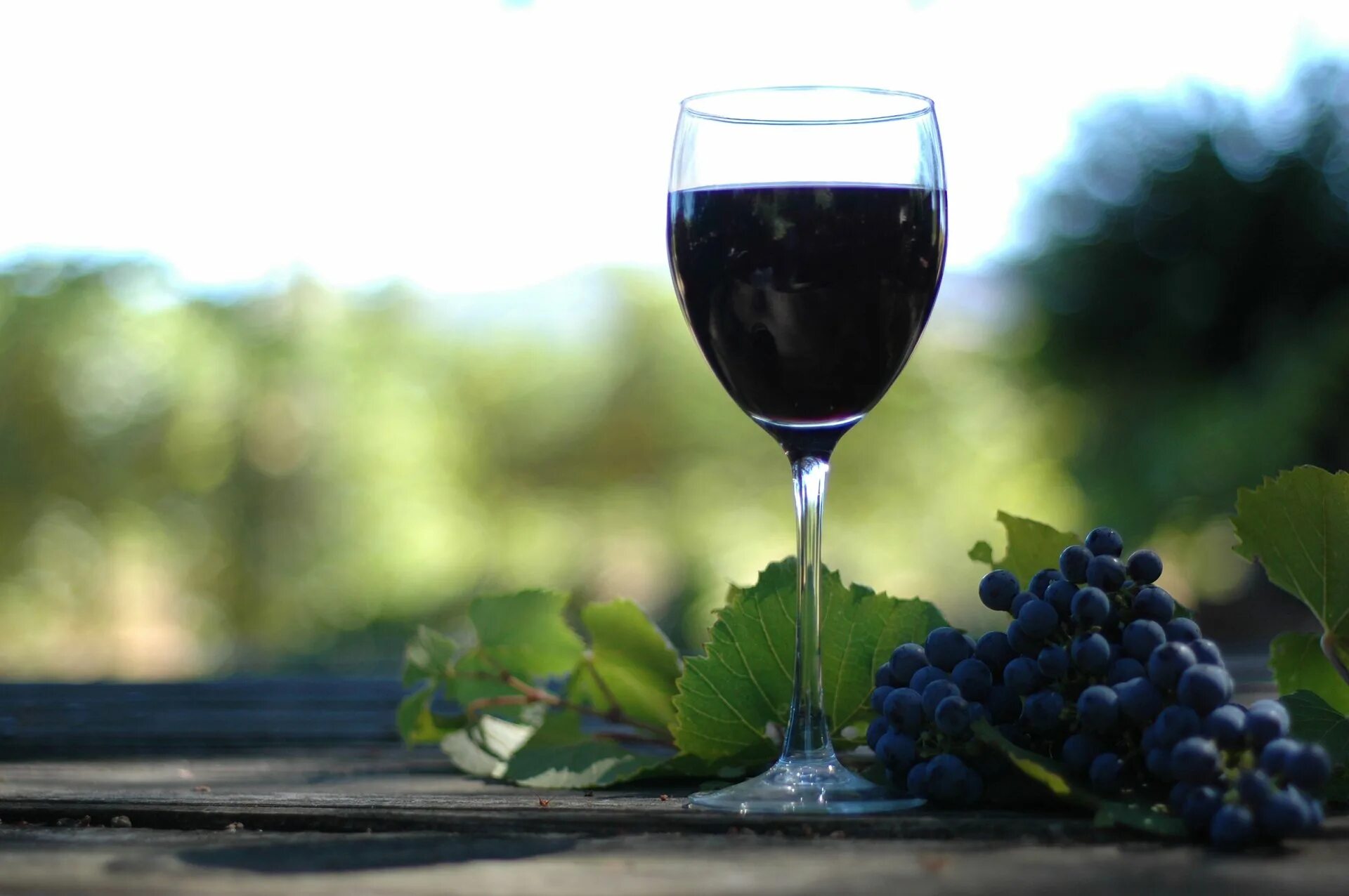 Вино красивые фото. Виноградное вино. Виноград на темном фоне. Вино обои. Вино на синем фоне.