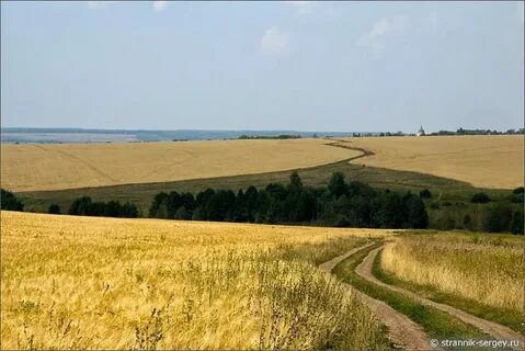 Вижу нивы и поля слушать