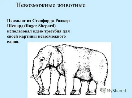 Невозможные животные