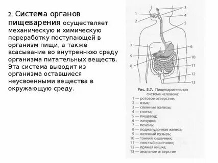 Органы подавления