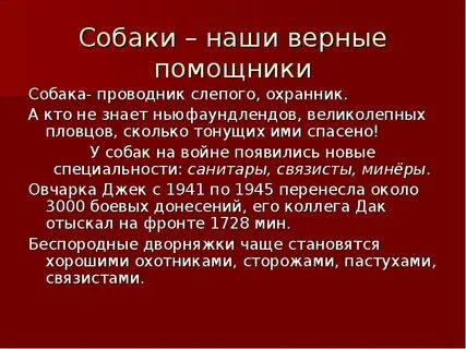 Верный помощник