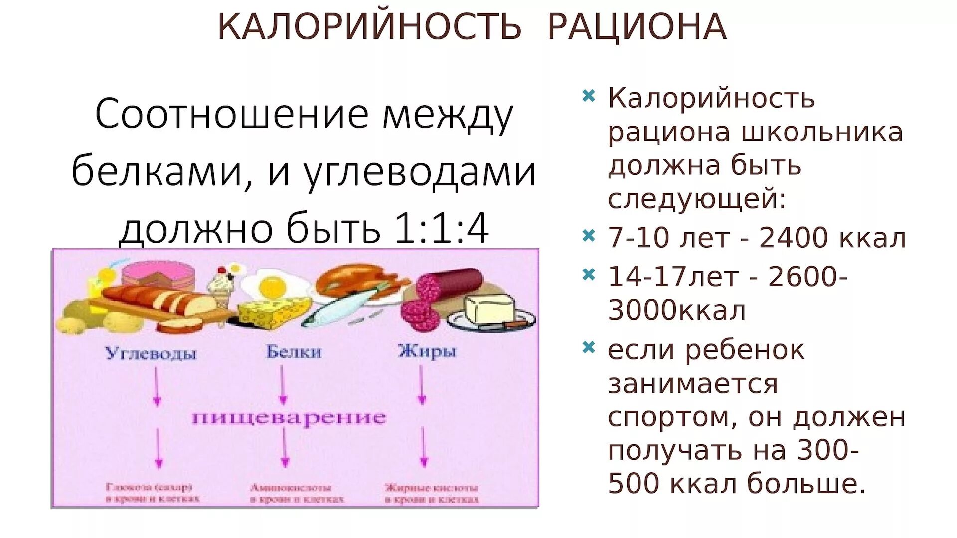 Соотношение белков в пище. Соотношение белков жиров и углеводов 1 1 4. Белок жиры и углеводы. Соотношение между белками жирами и углеводами. Углеводы и белок соотношение.