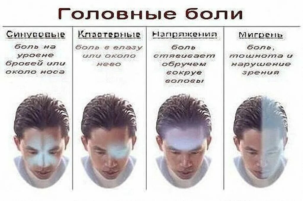 Что делать если голова