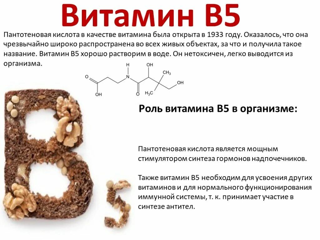 Витамин б5 пантотеновая кислота. Витамин в5 пантотеновая кислота функции. Витамин в5 или пантотеновая кислота. Роль в организме витамина b5. Витамин б характеристика