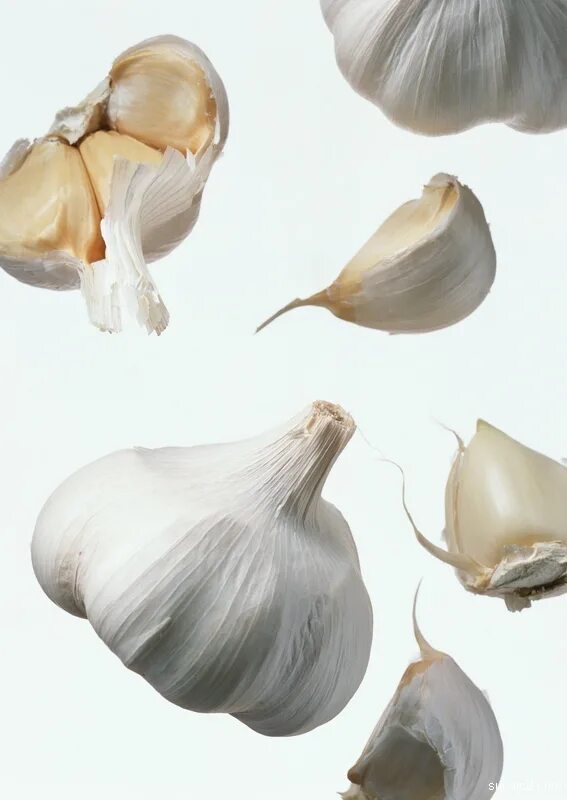 Пленка у чеснока. Цветет ли чеснок. Чеснок Тэги. Garlic from China is Bleached.