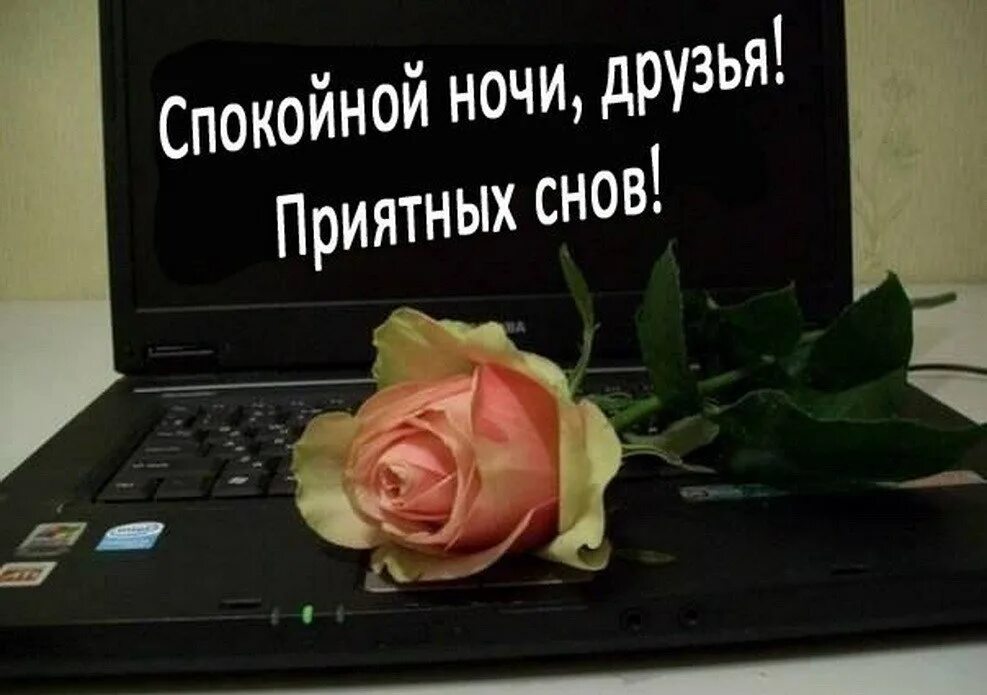 Благодарю за высокую оценку. Спасибо за оценку. Открытки спасибо за оценки. Доброй ночи приятного общения в интернете. Спасибо за оценку фото.