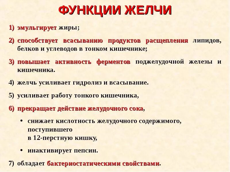 Желчь в переваривании жиров. Желчь выполняет функции. Функции желчи. Функции желчи в организме человека. Функции желчных кислот в организме.