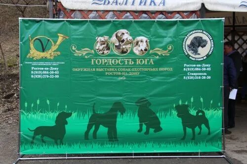20 апреля выставка собак. Выставка собак баннер. На выставке собак. Выставка собак реклама. Выставка охотничьих собак.