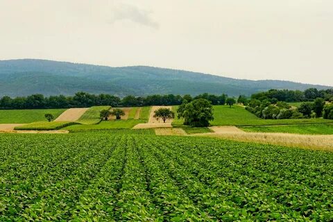 Agricultural society