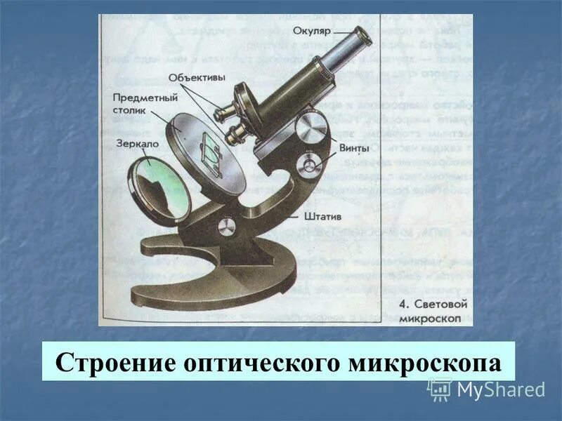 поставь на клетку 7