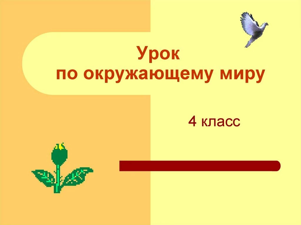 Урок по окр миру 4 класс. Урок окружающий мир. Урок окружающего ми ра соайд.