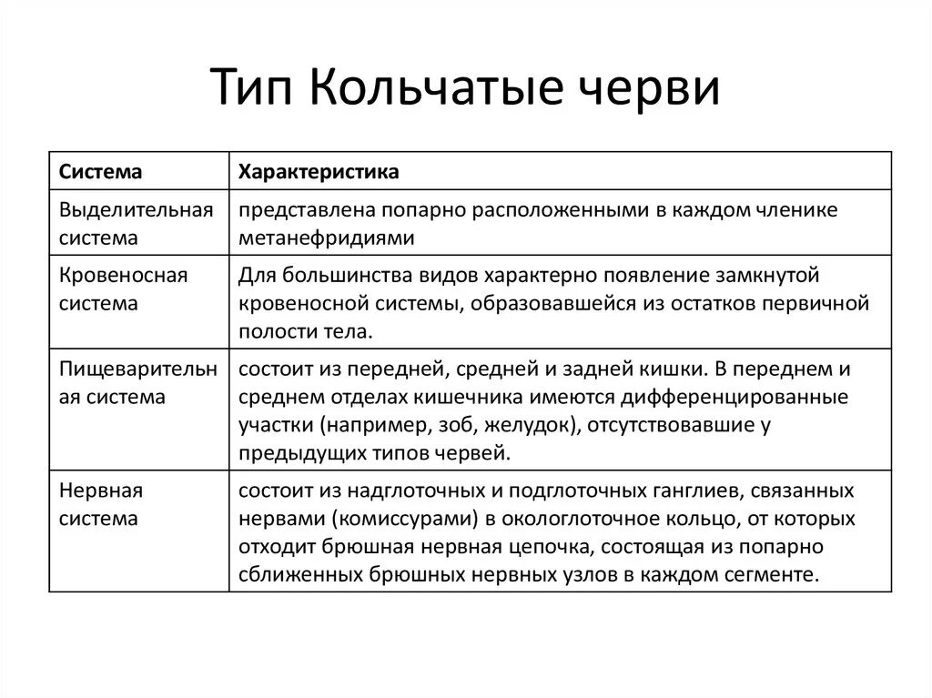 Краткая характеристика класса 8 класс. Общая характеристика кольчатых червей 7 класс биология. Характеристика типа кольчатые черви. Общая характеристика кольчатых червей 7 класс. Общая характеристика кольчатые черви 7 класс кратко.