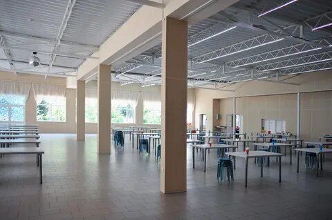 Детский лагерь ромашка