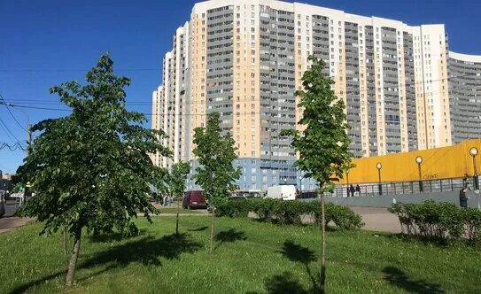 Коллонтай 5/1 санкт петербург. Жк аврора коллонтай 5/1. Жк аврора коллонтай 5/1. Питер улица коллонтай 5/1. Улица коллонтай 5 1 санкт петербург.