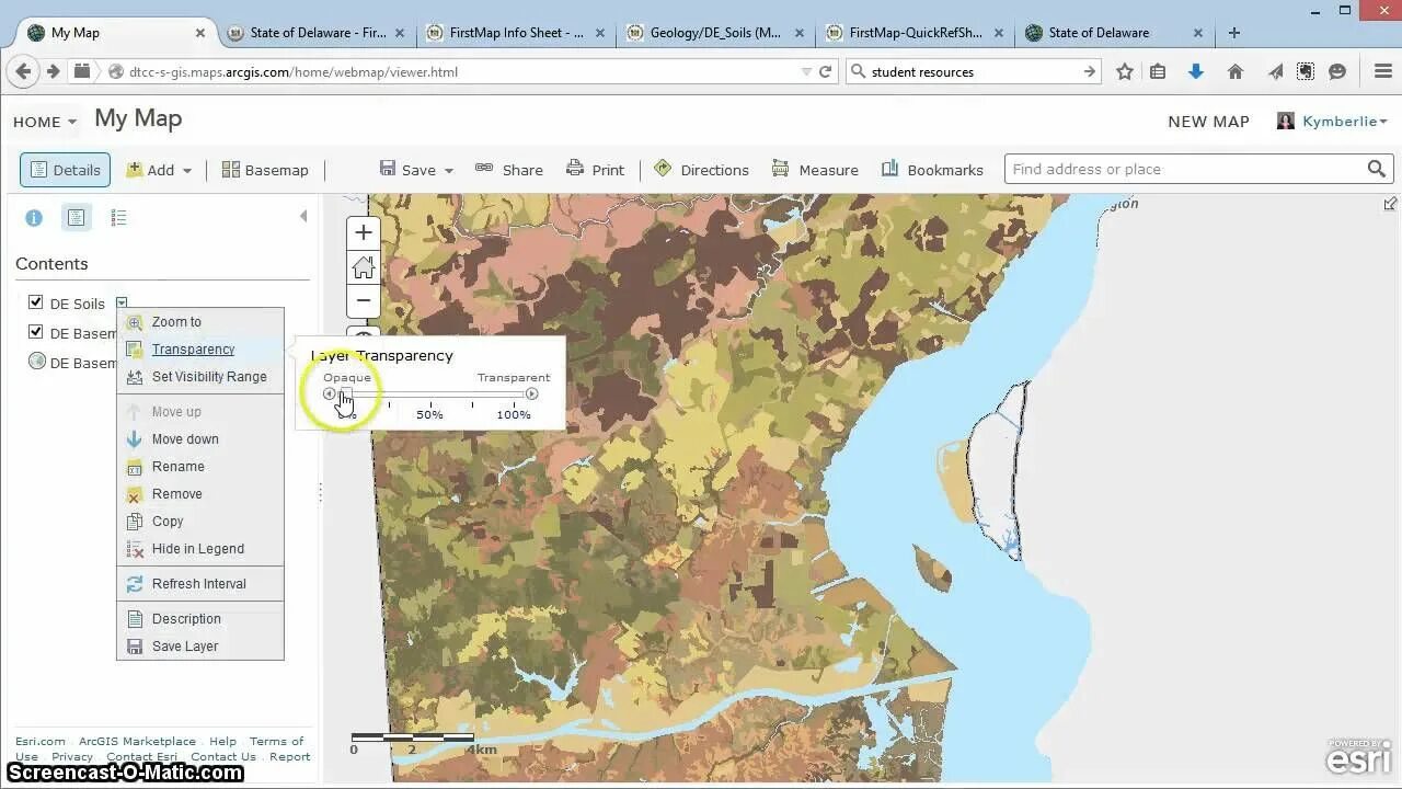 Arcgis версии. Arcgis карта. цифровая модель рельефа в arcgis. arcgis в строительстве. семейство программ arcgis.