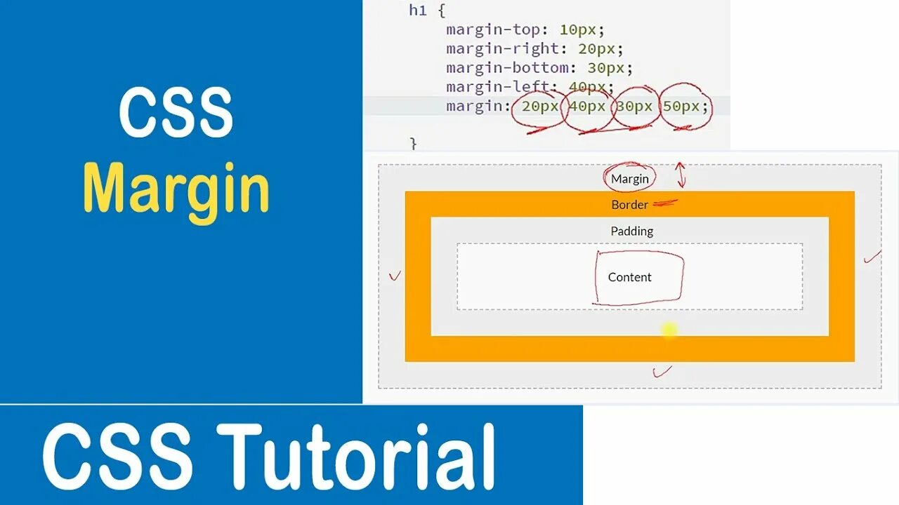Margin html. Margin css. padding css. margin padding css. margin-top.