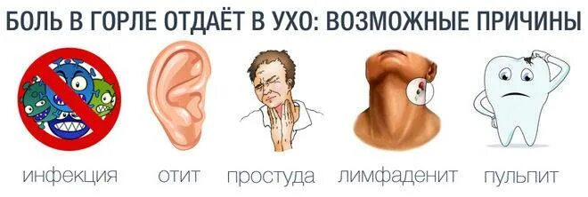 Горло заложило уши что делать. Болит в носоглотке и отдает в ухо. болит горло и отдает в ухо.