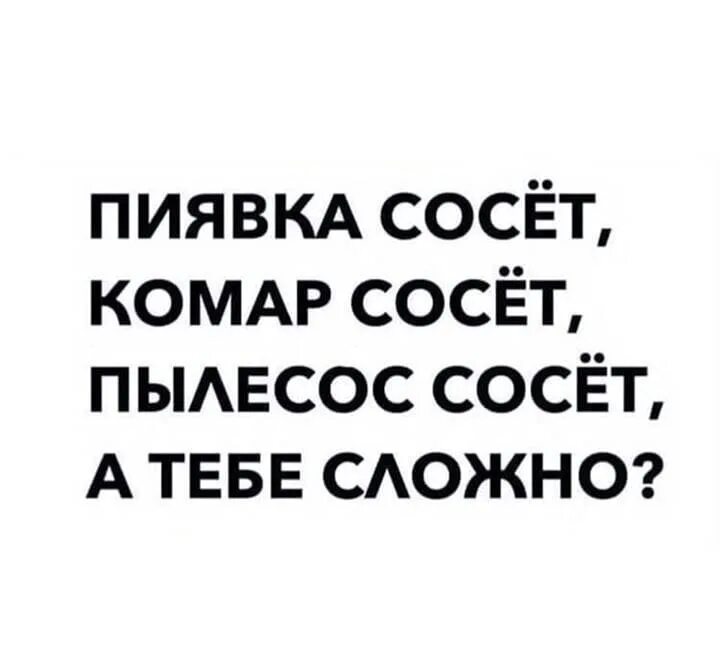 Попробовать пососать. Пылесос отсосал. Фото сосущих комаров прикольные.