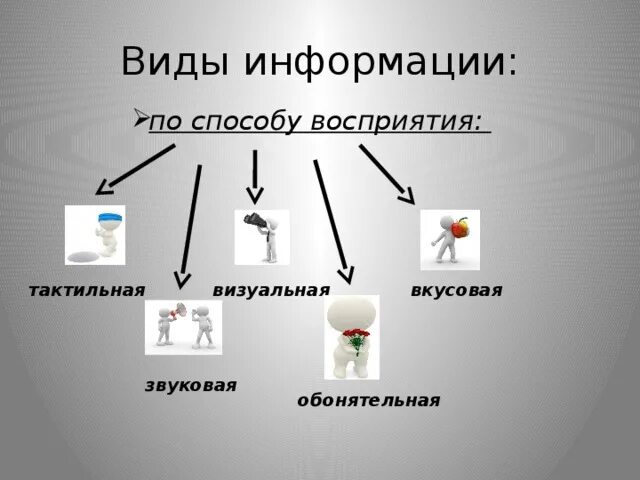 Виды информации изобразительная. Виды информации. Виды информации по виду восприятия. Виды информации иллюстрации. Способы восприятия информации.