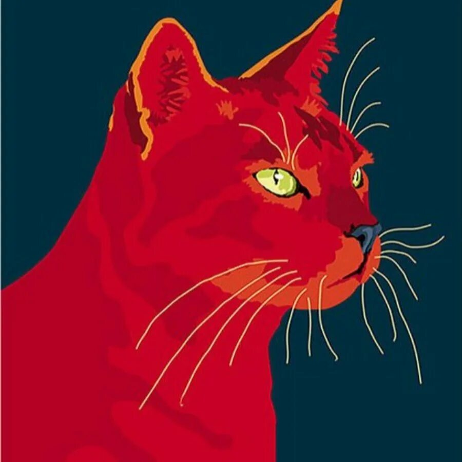 Red cat папа. Красный кот. Кошка на Красном фоне. Эстетика красный кот. Ярко красный кот.