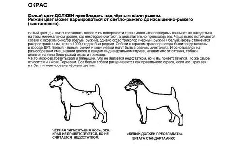 Стандарты собак