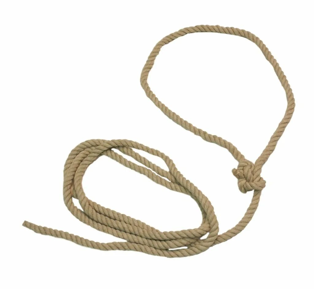 Веревка с узлом на конце 5 букв. Аркан лассо. Аркан верёвка с Метлей. Ковбойская веревка. Петля веревка.