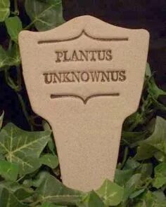 Plantum