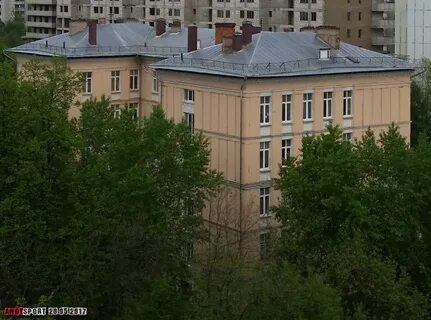 Колледж новогиреево