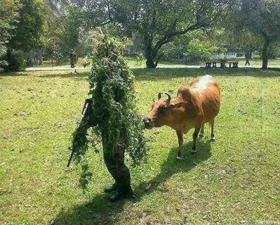 Приколы пугающие кусты