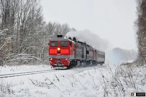 Поезд ряжск