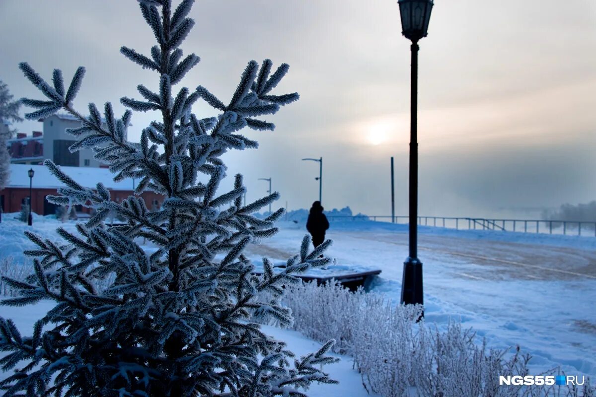 В пелене января. Мороз в Омске. Холод в Омске. Зима в Омской области. Мороз на улице картинки.